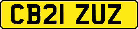 CB21ZUZ