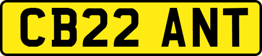 CB22ANT
