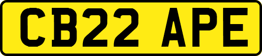 CB22APE