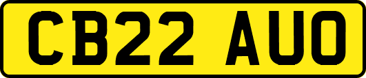 CB22AUO