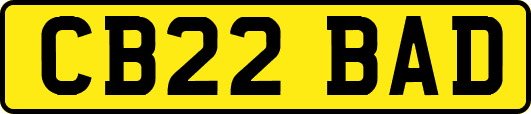 CB22BAD