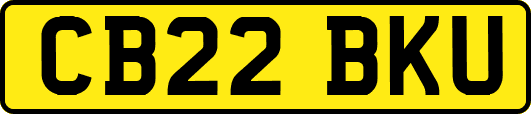 CB22BKU