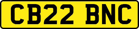 CB22BNC