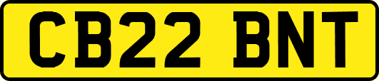 CB22BNT