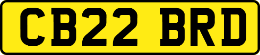 CB22BRD