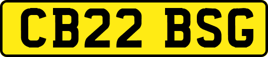 CB22BSG