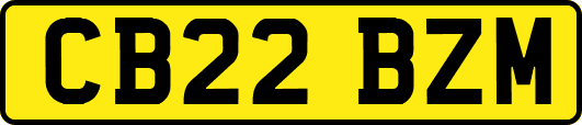 CB22BZM