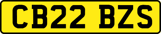 CB22BZS