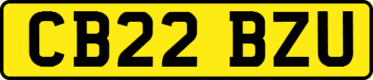 CB22BZU