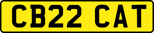 CB22CAT