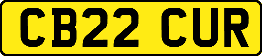 CB22CUR