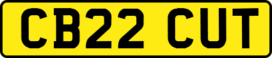 CB22CUT