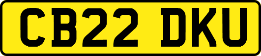 CB22DKU