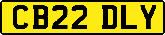 CB22DLY
