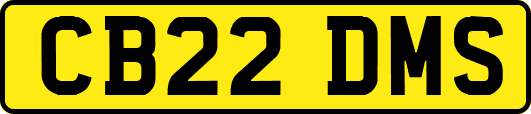 CB22DMS