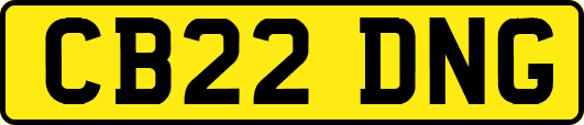 CB22DNG