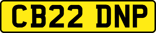 CB22DNP