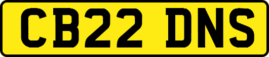 CB22DNS