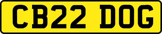 CB22DOG