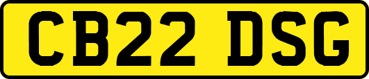 CB22DSG