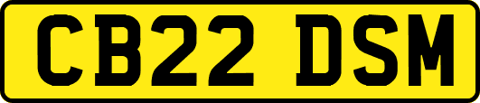 CB22DSM