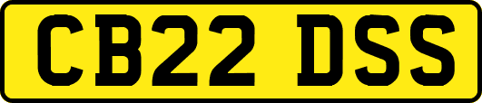 CB22DSS