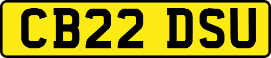 CB22DSU