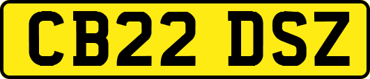 CB22DSZ