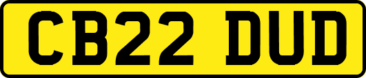 CB22DUD