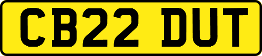 CB22DUT