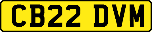 CB22DVM