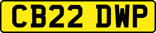 CB22DWP