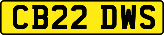 CB22DWS