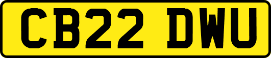 CB22DWU