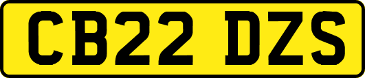CB22DZS