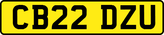CB22DZU