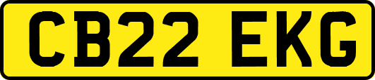 CB22EKG