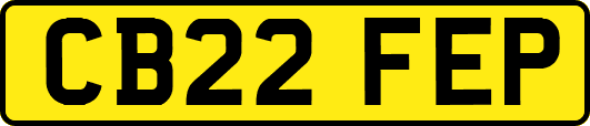 CB22FEP