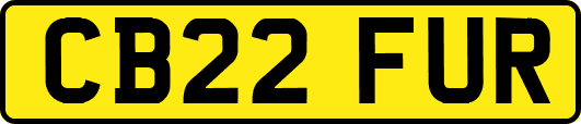 CB22FUR