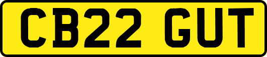 CB22GUT