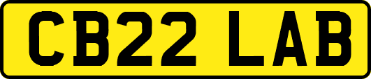 CB22LAB