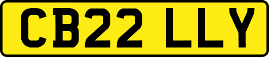 CB22LLY