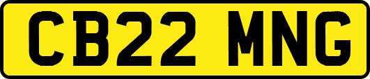 CB22MNG
