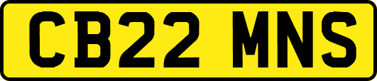 CB22MNS