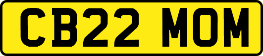 CB22MOM