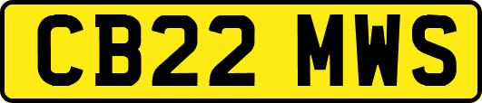 CB22MWS