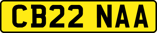 CB22NAA