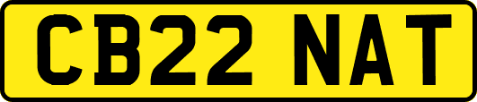 CB22NAT