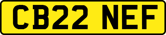 CB22NEF