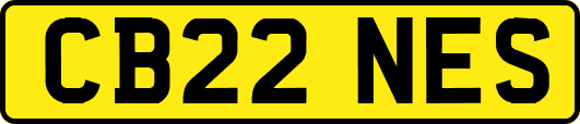 CB22NES